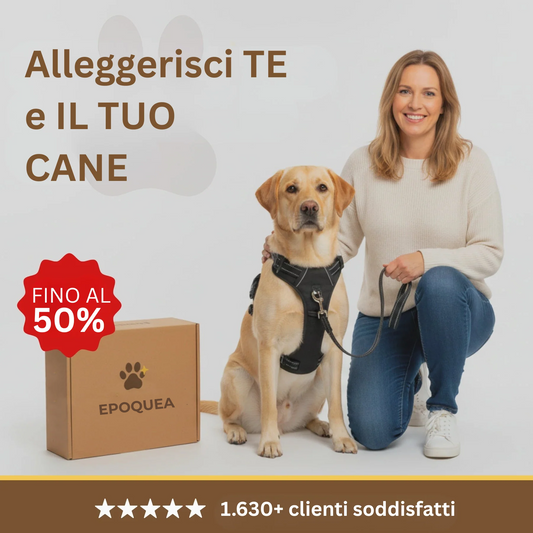 Epoquea™ Pettorina anti-tiro