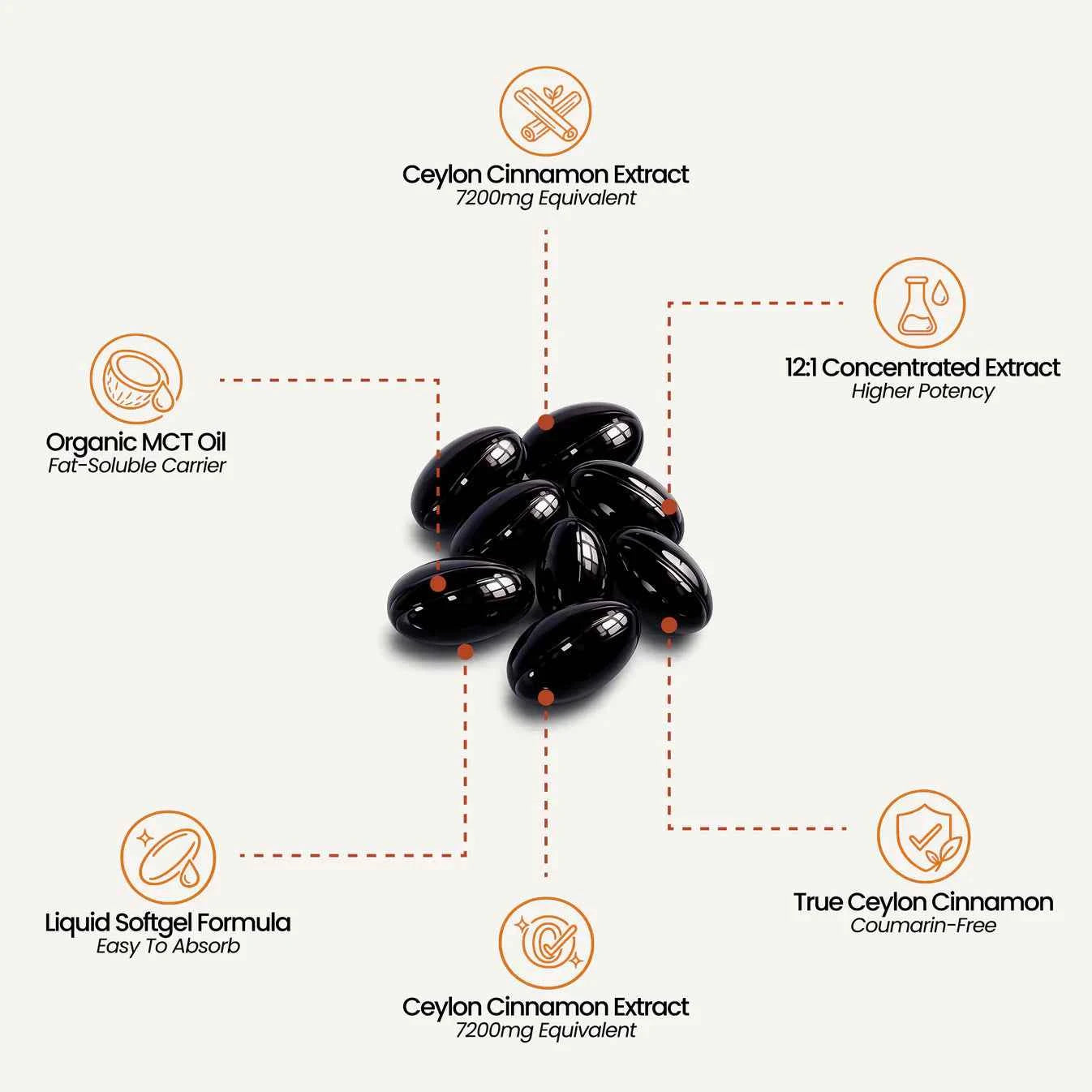 Ceylon Cinnamon 7200mg Equivalent with MCT Oil