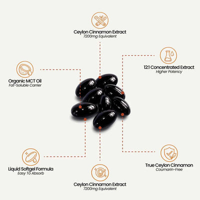 Ceylon Cinnamon 7200mg Equivalent with MCT Oil